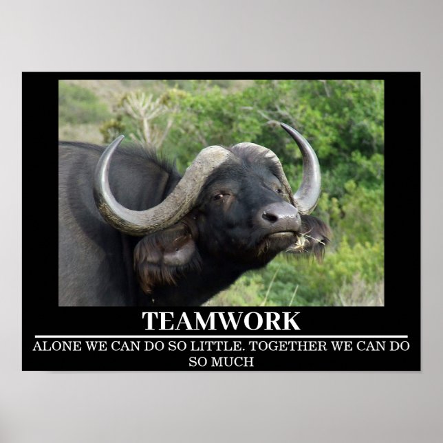Wildlife Motivierend Posters Buffalo Teamwork Poster (Vorne)