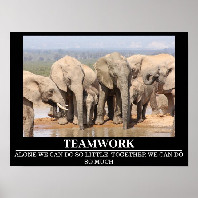 Wildlife Motivierend Posters Elephant Teamwork Poster (Vorne)
