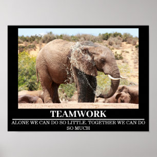 Wildlife Motivierend Posters Elephant Teamwork Poster
