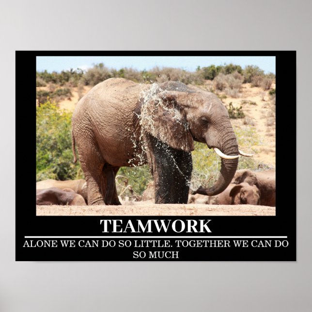 Wildlife Motivierend Posters Elephant Teamwork Poster (Vorne)