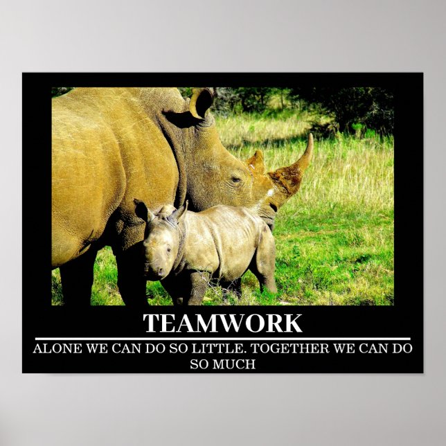 Wildlife Motivierend Posters Rhinos Teamwork Poster (Vorne)