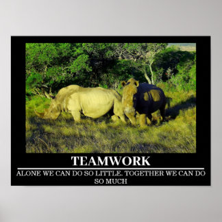 Wildlife Motivierend Posters Rhinos Teamwork Poster