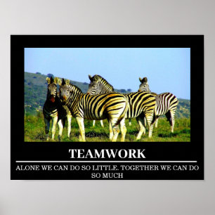 Wildlife Motivierend Posters Zebra Teamwork Poster