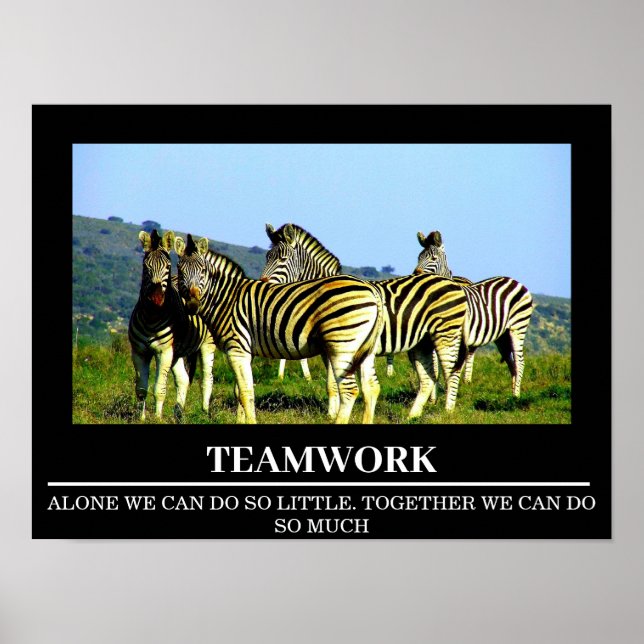 Wildlife Motivierend Posters Zebra Teamwork Poster (Vorne)