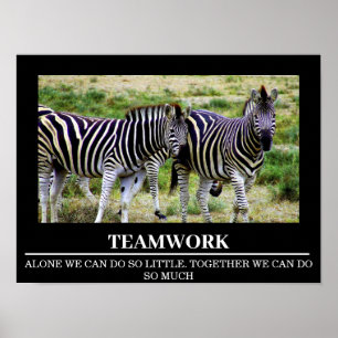 Wildlife Motivierend Posters Zebra Teamwork Poster