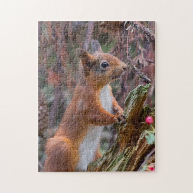 Wildlife Niedlich Red Eichel Puzzle (Vertikal)