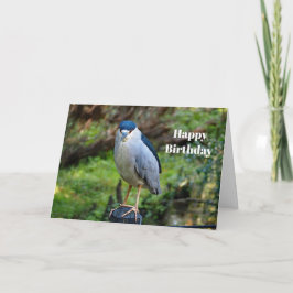 Wildlife Night Heron Foto Geburtstag Karte