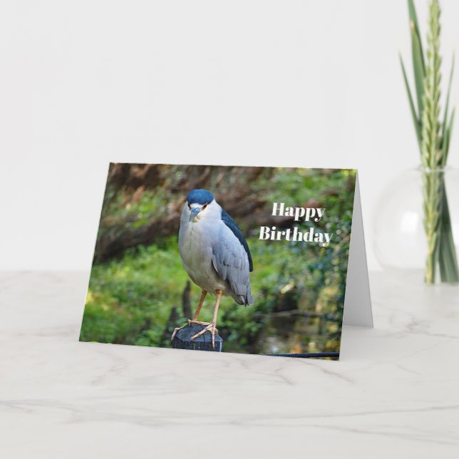 Wildlife Night Heron Foto Geburtstag Karte (Vorderseite)