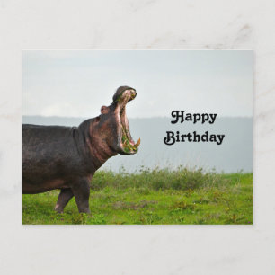 Wildlife Nilpferd Foto Geburtstag Postkarte