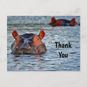 Wildlife Nilpferd Wasser Foto Danke Postkarte