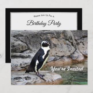 Wildlife Penguin Foto Geburtstag Einladung