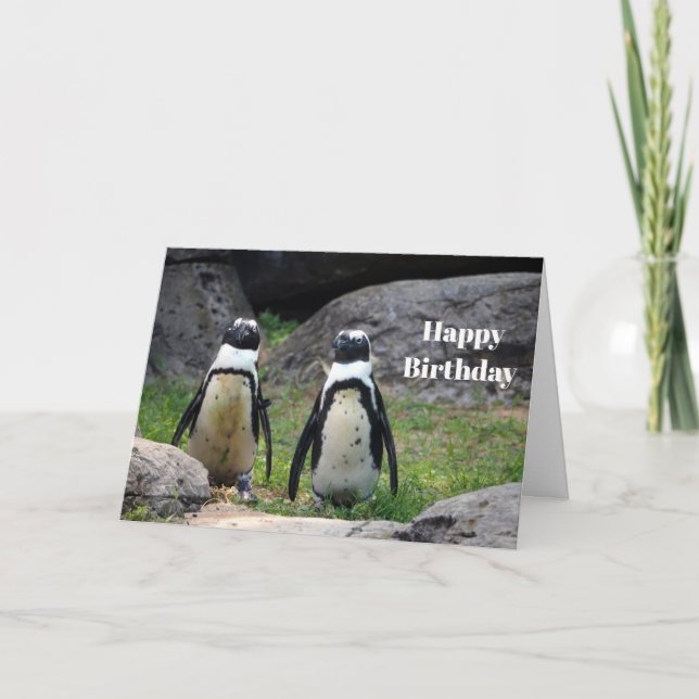 Wildlife Pinguin Pair Foto Geburtstag Karte (Vorderseite)