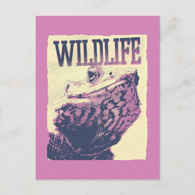 Wildlife Postkarte (Vorderseite)