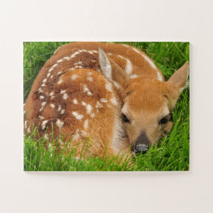 Wildlife Puzzle-Baby Deh Puzzle