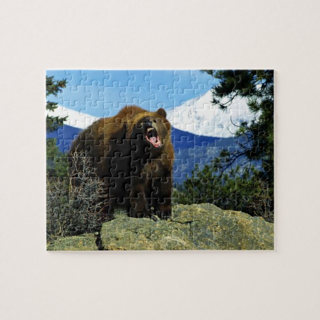 Wildlife Puzzle-Bär Puzzle (Horizontal)