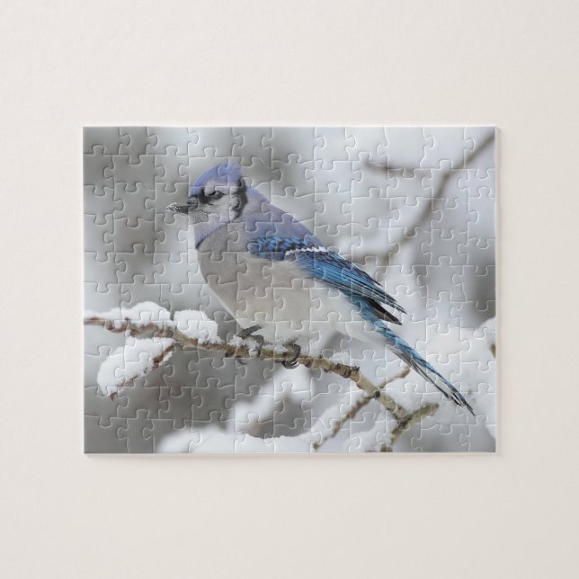 Wildlife Puzzle-Blue-Jay Puzzle (Horizontal)