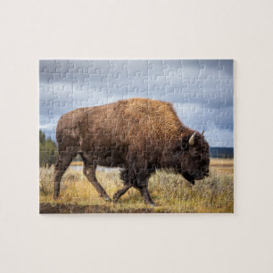 Wildlife Puzzle-Buffalo Jigsaw Puzzle