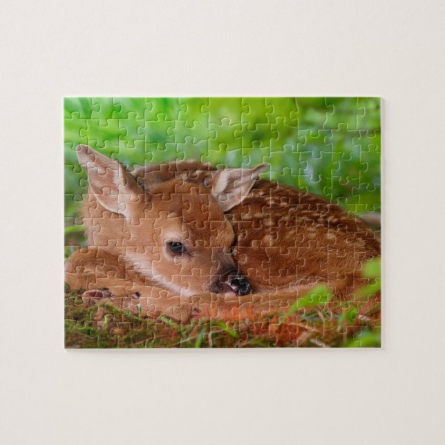 Wildlife Puzzle Fawn (Horizontal)