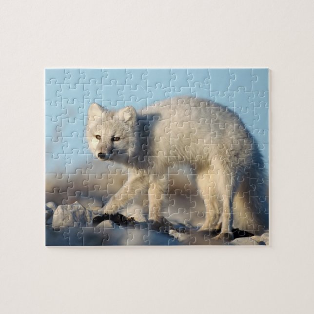 Wildlife Puzzle-Fox Puzzle (Horizontal)