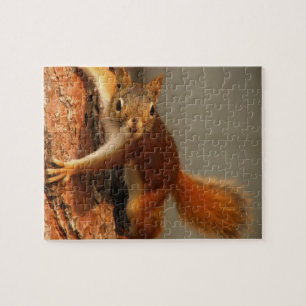 Wildlife Puzzle-Squirrel Jigsaw Puzzle