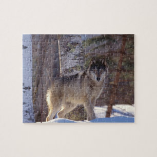 Wildlife Puzzle-Wolf Puzzle