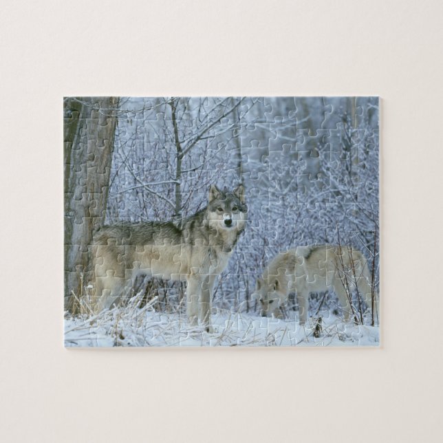 Wildlife Puzzle-Wolves Puzzle (Horizontal)