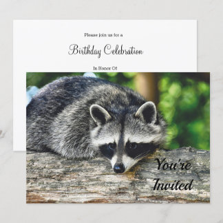 Wildlife Raccoon Log Mammal Foto Geburtstag Einladung