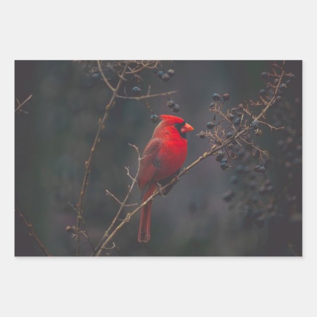 Wildlife Red Kardinal Foto Geschenkpapier Set (Vorderseite)