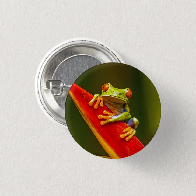 Wildlife Red Mit Augen Tree Frog Foto Button (Vorne & Hinten)