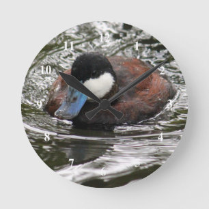 Wildlife Ruddy Duck Photo Runde Wanduhr