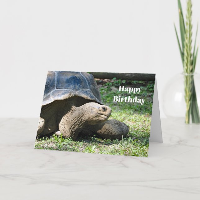Wildlife Tortoise Foto Geburtstag Karte (Vorderseite)