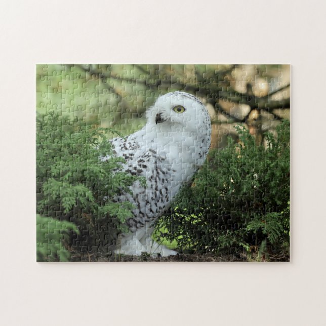 Wildlife White Owl Foto Puzzle (Horizontal)