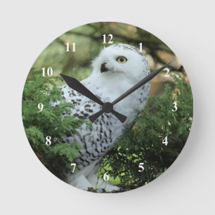 Wildlife White Owl Foto Runde Wanduhr
