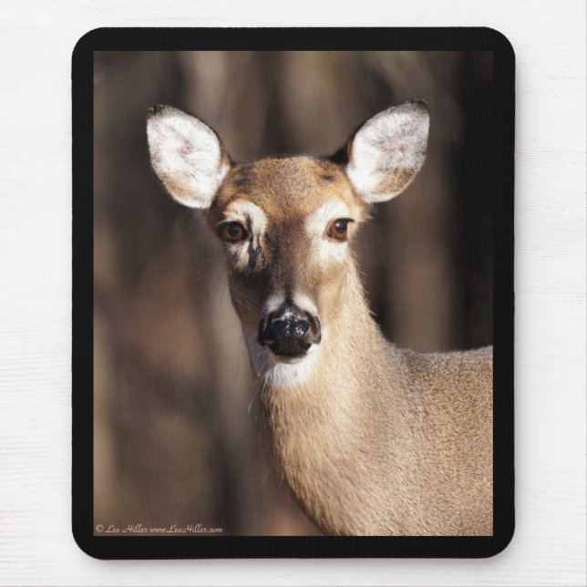 Wildlife Whitetail Deer Doe Portrait Mousepad (Vorne)