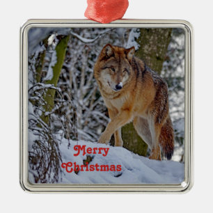 Wildlife Wolf Snow Foto Weihnachten Ornament Aus Metall