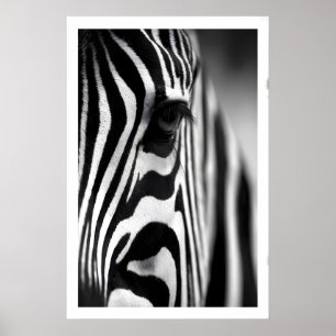 Wildlife-Zebra-Plakat, monochrome Streifen, Auge Poster