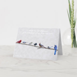 Wildness: eine Zivilisation anders als unsere Feiertagskarte