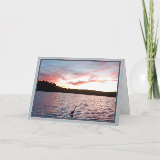 Wildness:  Eine Zivilisation anders als unsere Karte (Vorderseite)