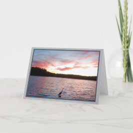 Wildness:  Eine Zivilisation anders als unsere Karte