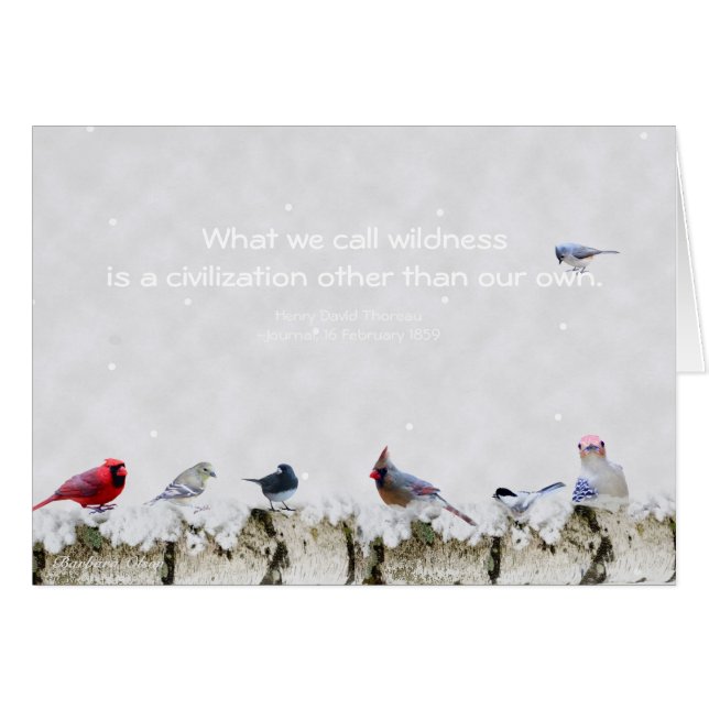 Wildnis: Eine andere Zivilisation als unser eigene (Vorderseite (Horizontal))