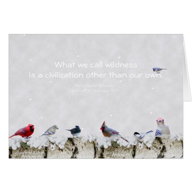 Wildnis: Eine andere Zivilisation als unser eigene (Vorderseite (Horizontal))