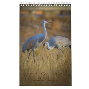 Wildnis Kalender
