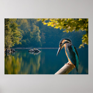 Wildnis Poster