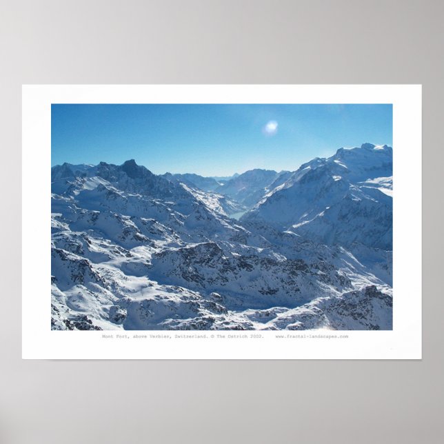 Wildnis Poster (Vorne)