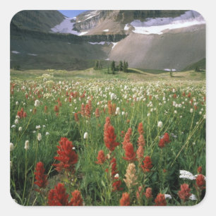 WILDNISGEBIET MOUNT TIMPANOGOS, UT, US, QUADRATISCHER AUFKLEBER