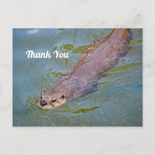 Wildotter-Schwimmen-Foto Danke Postkarte