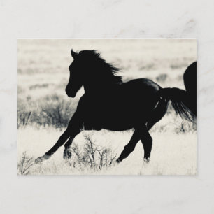 WILDPAPIERPRODUKTE POSTKARTE