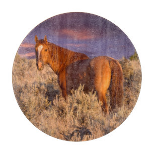 Wildpferd im Harney County steht wachsam Schneidebrett