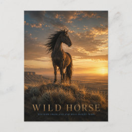 Wildpferd Western Grasland TIEREN Postkarte