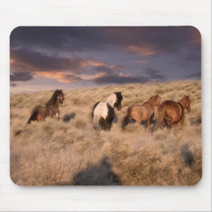Wildpferde laufen mousepad